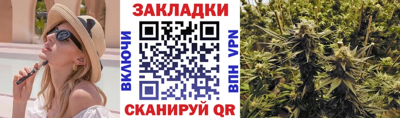 A-PVP Венёв