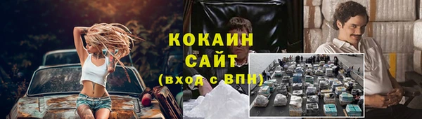 эйфоретик Аркадак