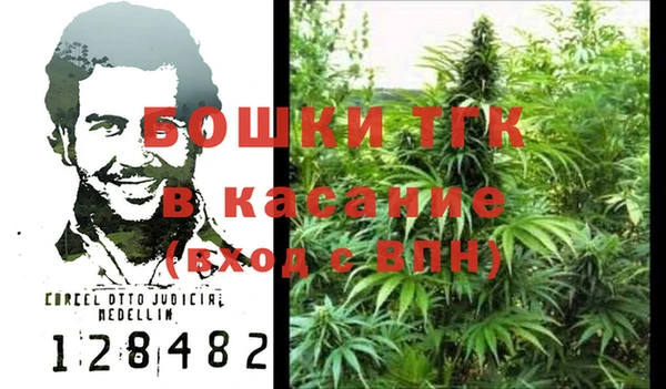 эйфоретик Аркадак