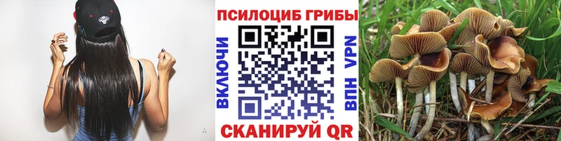 Галлюциногенные грибы Cubensis  Венёв 